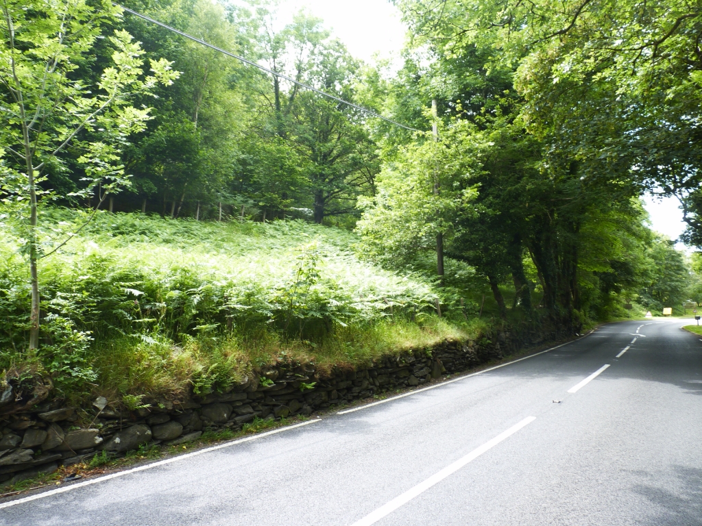 Trunk Road improvement midWales Read more Avian Ecology