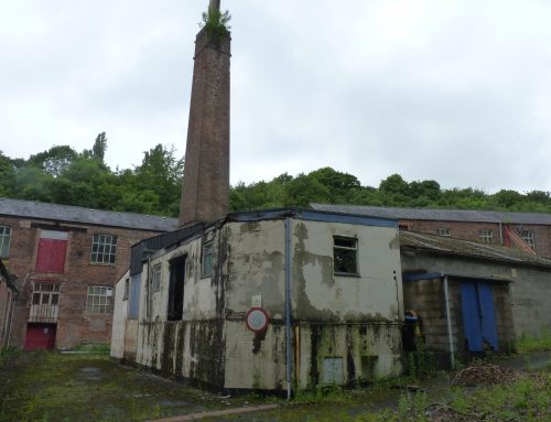 Bat Surveys at Leyland Mill, Greater Manchester